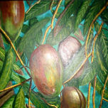 TROPICAL thumbnail 1
