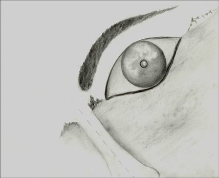 Paisaje Ocular