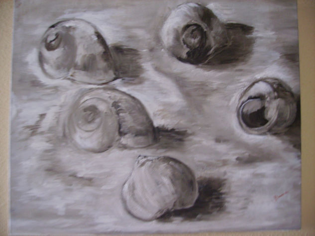 Caracolas Oil Canvas Marine Painting