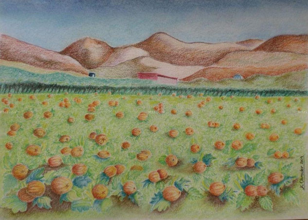 Calabazas Pastel Papel Paisaje