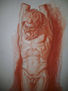 Torso castigado
