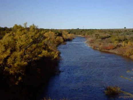 Daymán