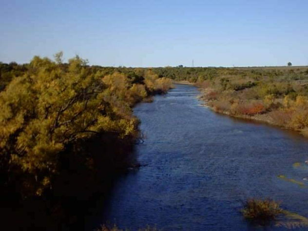 Daymán