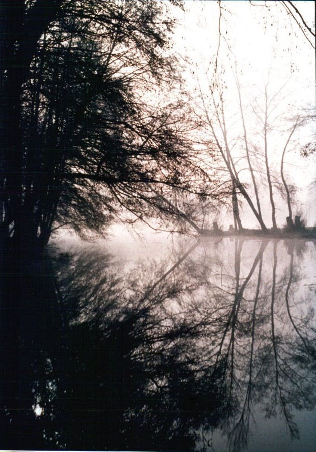 "Reflejos en el canal de la Concha, rio Agueda"