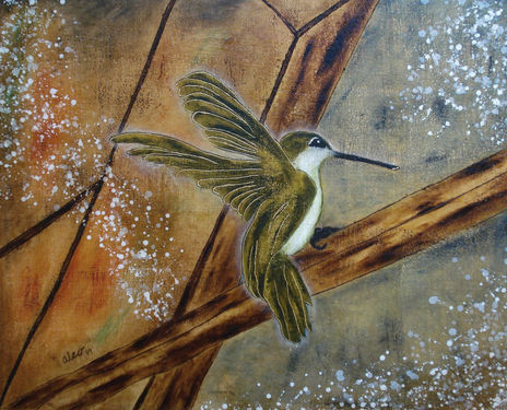 Un colibri en el...