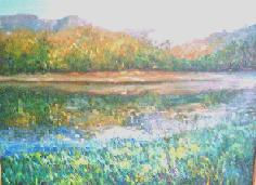 Reflejos en el lago