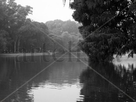 Contrastes