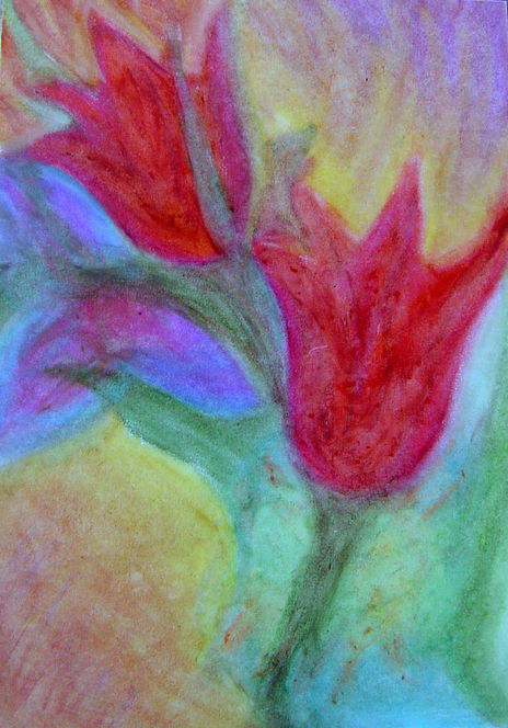Tulipán