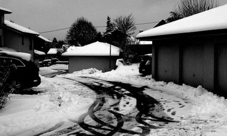 Blanco y negro