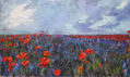 Amapolas en azul