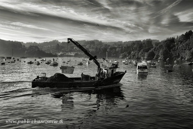 EL BARCO GRÚA