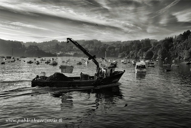 EL BARCO GRÚA 