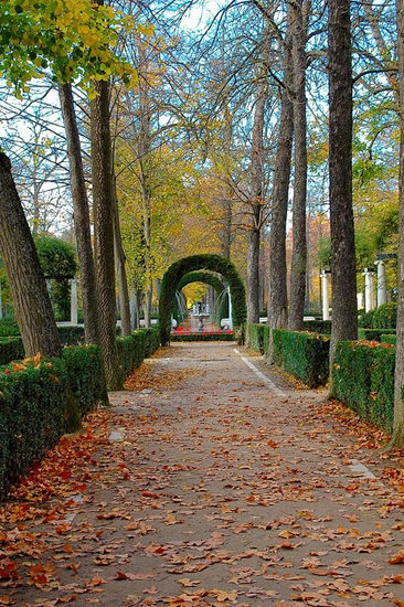 PASEO JARDINES ARANJUEZ Nature Color (Digital)