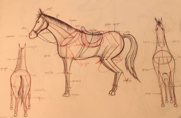 cuaderno de bocetos