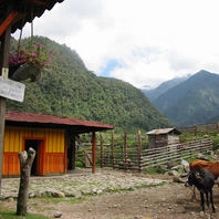 obra