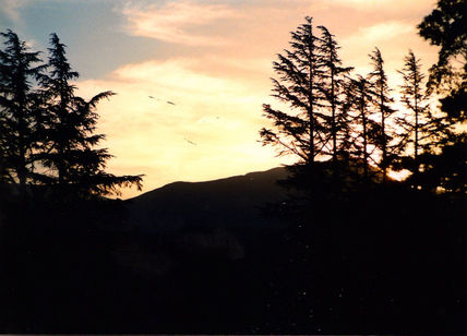 De atardeceres lentos