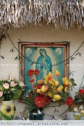 Guadalupe 283 Other Themes Color (Digital)