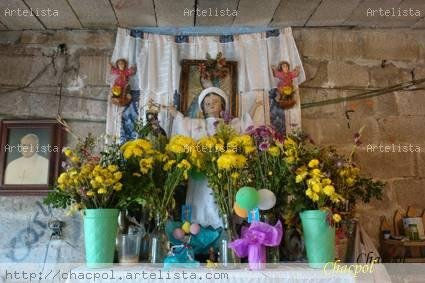 Guadalupe 279