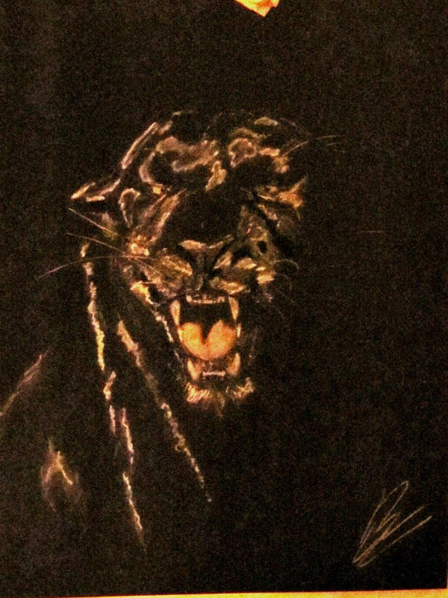 Sorpresa en la jungla II