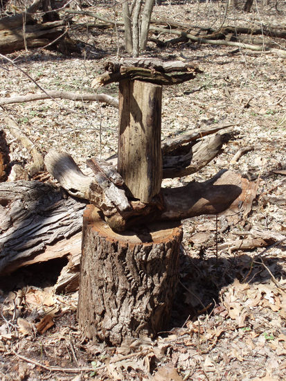 arte efimero en el bosque de Toledo Ohio Usa 