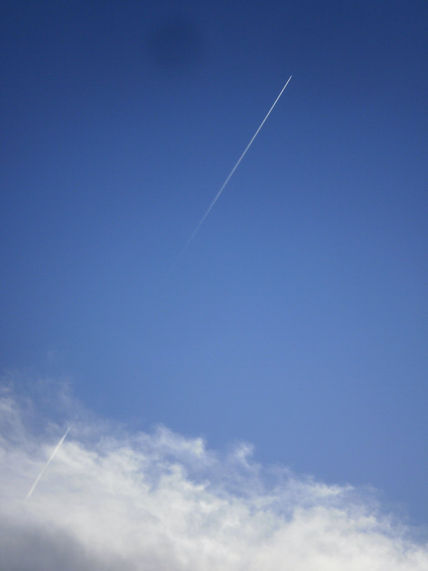 On the road/move  -7-