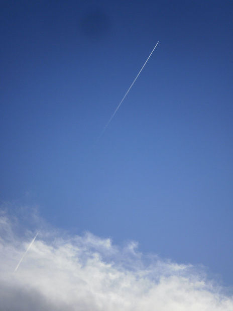 On the road/move  -7-