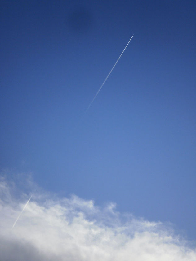 On the road/move  -7-