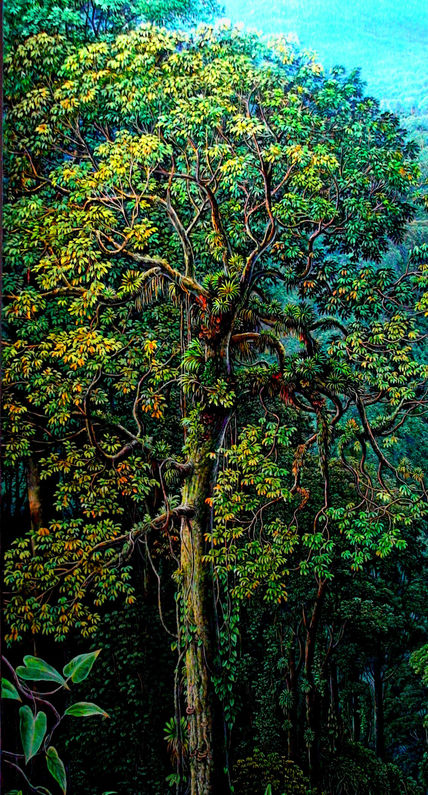 A rbol en la montaña