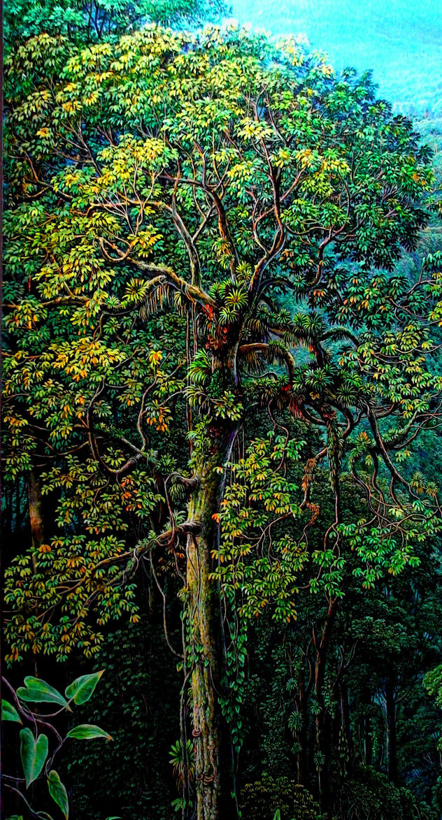 A RBOL EN LA MONTAÑA