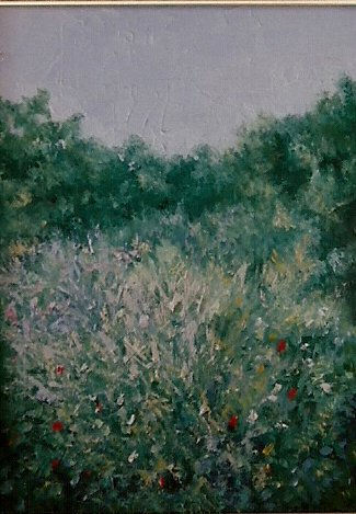 Fragmento de bosque