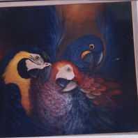 obra