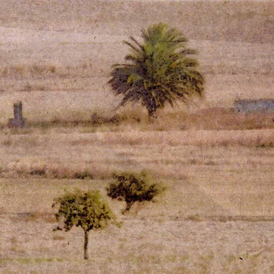 hivern Naturaleza Técnicas alternativas