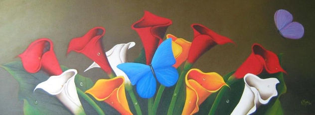 cartuchos