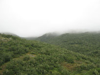 Sierras del Yerbal...