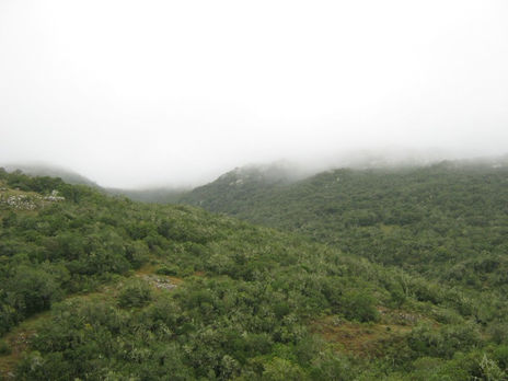 Sierras del Yerbal...