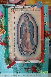 Guadalupe 272