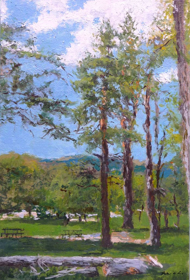 Paisaje del Valle de la Fuenfría en Cercedilla, Madrid