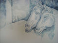 caballos azul