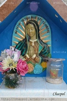 Guadalupe 271 Other Themes Color (Digital)