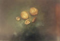 NUECES