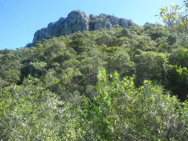 Paredón