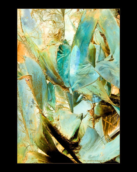 Mi jardin magico_2 Conceptual/Abstract Color (Digital)