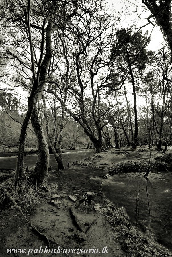 AGUA CRUZANDO EL CAMINO