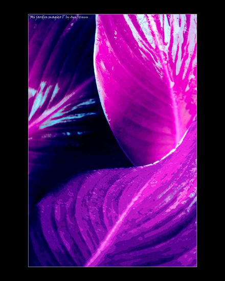 Mi jardin magico_5 Conceptual/Abstract Color (Digital)