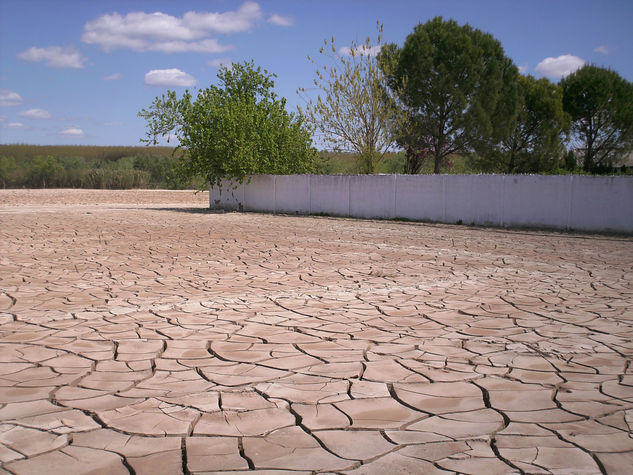 Después de la inundación del Guadalquivir del 21.II.10 