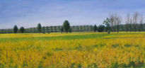 Campo de girasoles