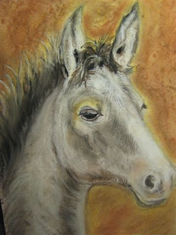 PLATERO Pastel Paper Animals