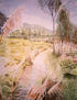 Paisaje Porcòn