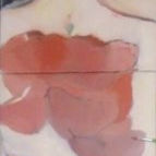 AMAPOLAS thumbnail 2