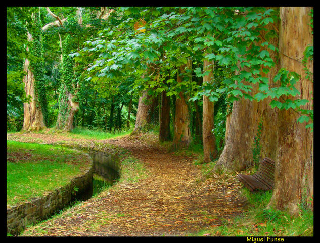 Paseo Namoreiros, Sargadelos 